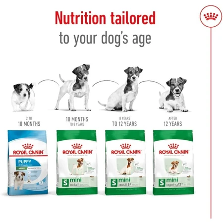 Royal Canin Mini Adult – Alleinfuttermittel für erwachsene Hunde kleiner Rassen, 800 g