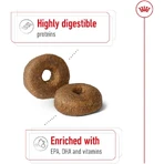 Royal Canin Maxi Ageing 8 Plus - Alimento completo para perros adultos de razas grandes mayores de 8 años, 15 kg