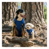 Balto Recova Shirt - Post-operative Anti-Licking Shirt, Size M