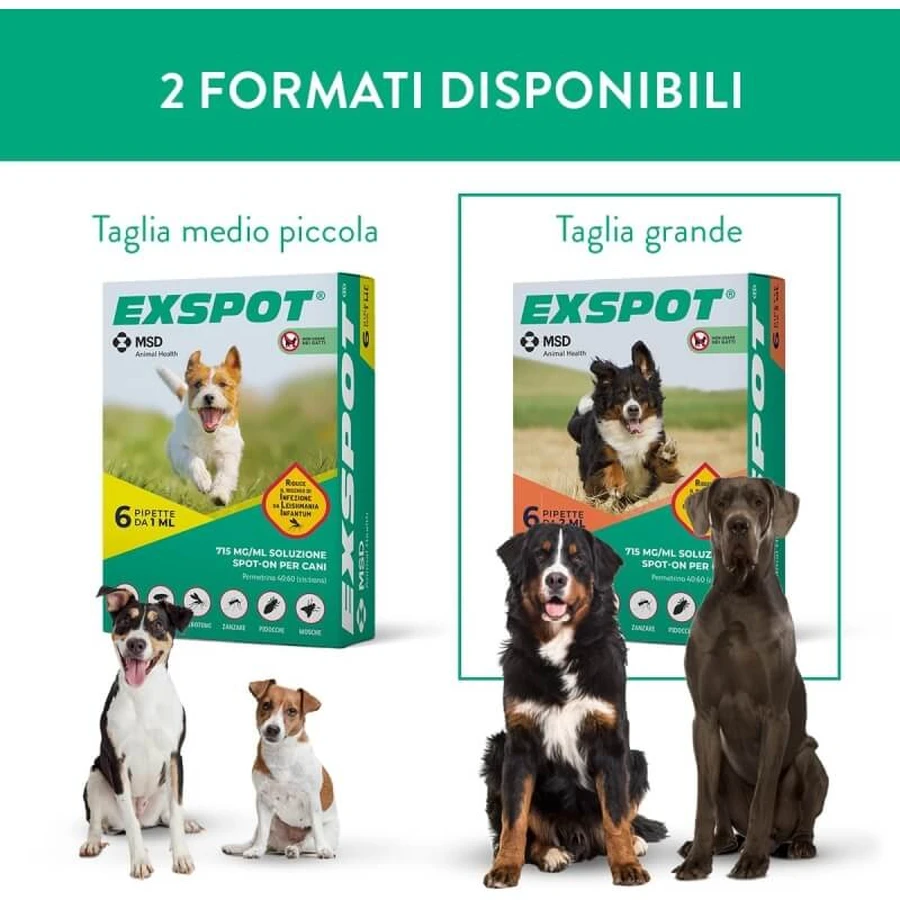 Msd Animal Health Exspot – 6 pipete antiparazitare spot-on pentru câini, de 2 ml fiecare