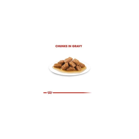 Royal Canin Medium Adult - Volledig voer voor volwassen honden van middelgroot formaat, 140 g