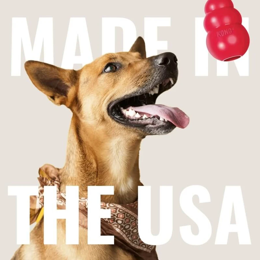 Barrita dental Kong pequeña - Juguete para perros
