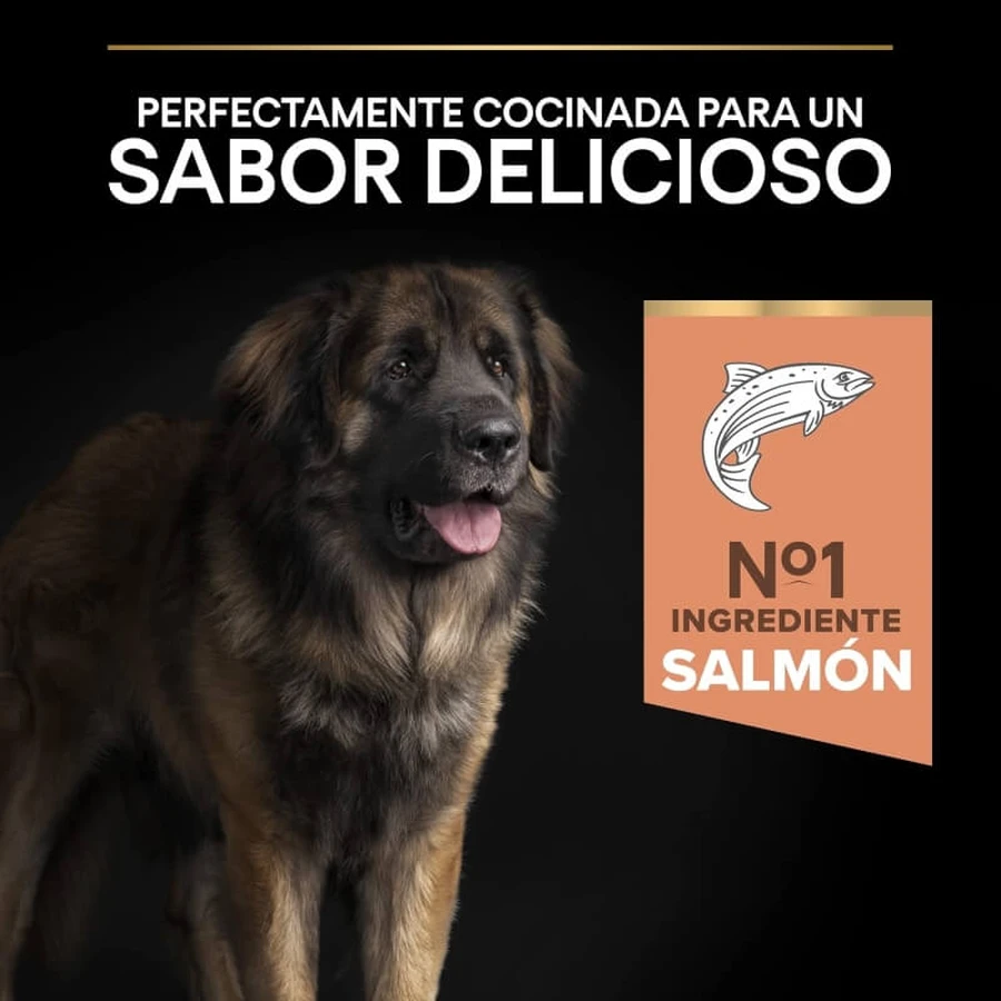 Purina Pro Plan Optiderma Saumon - Aliment complet pour chiens adultes de grande taille et robustes à la peau sensible, 14 kg