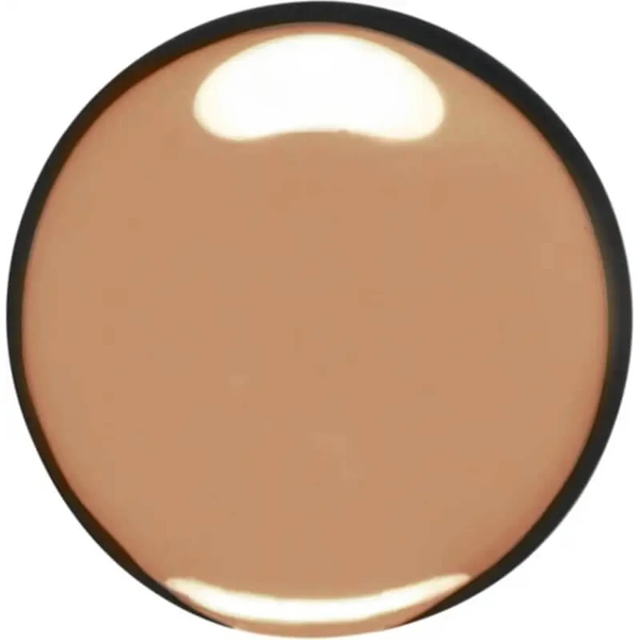 Clarins Skin Illusion – podkład w płynie – nr 113 Chestnut: ceny i cechy