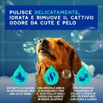 Ceva Animal Health Douxo, S.p.A. - Moisturizing Anti-Odor Shampoo for Dogs, 250 ml