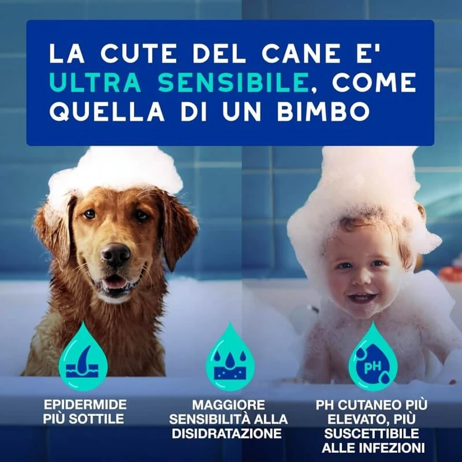 Ceva Animal Health Douxo, S.p.A. - Moisturizing Anti-Odor Shampoo for Dogs, 250 ml