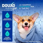 Ceva Animal Health Douxo, S.p.A. - Moisturizing Anti-Odor Shampoo for Dogs, 250 ml