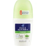 Fresh Blue Fern - Hydraterende deodorant met aloë vera, roll-on, 50 ml