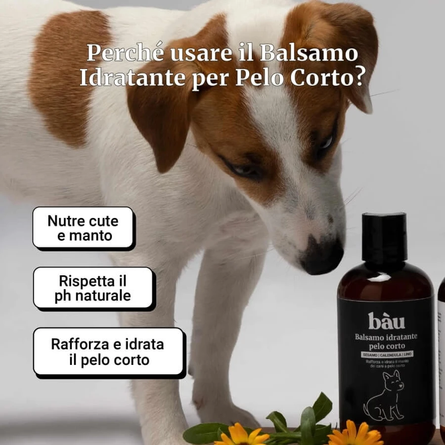 Bau Cosmetics Feuchtigkeitsspendender Conditioner für kurzes Haar, 250 ml