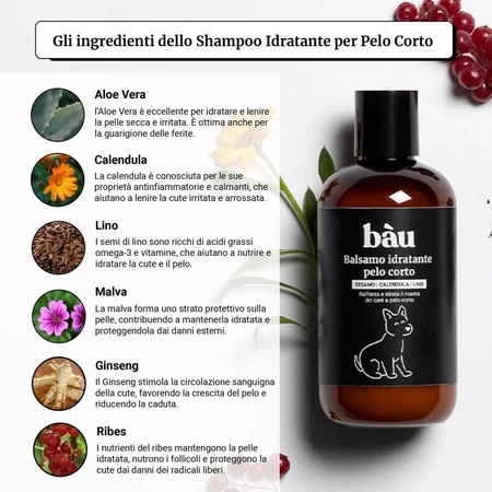 Bau Cosmetics Feuchtigkeitsspendender Conditioner für kurzes Haar, 250 ml
