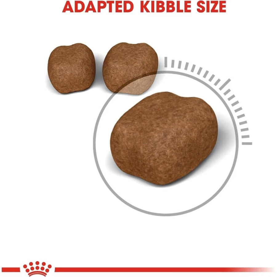 Royal Canin Dental Care - Compleet voer voor volwassen katten ter ondersteuning van de mondhygiëne, 1,5 kg