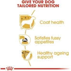 Royal Canin Adult Yorkshire Terrier – Alleinfuttermittel für erwachsene Yorkshire Terrier, 7,5 kg