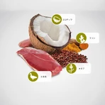 Farmina N&amp;d Quinoa Skin &amp; Coat Eend, Kokosnoot en Kurkuma - Droogvoer voor honden met voedselintoleranties, 2,5 kg