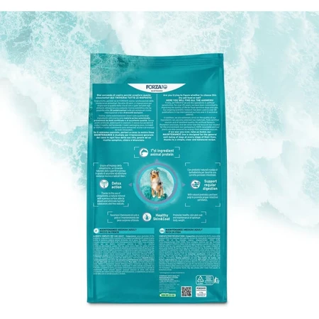Forza10 Maintenance Medium Adult met vis - Volledig voer voor volwassen honden van middelgroot formaat, 12 kg
