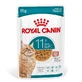 Royal Canin Ageing 11+ Bites in Gravy - Compleet voer voor katten ouder dan 11 jaar, 85 g