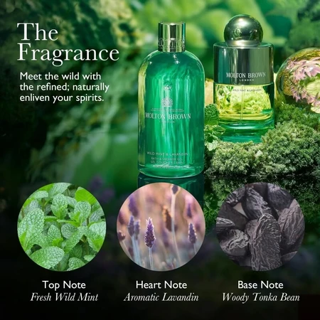 Molton Brown Wild Mint & Lavandin - Douchegel 300 ml