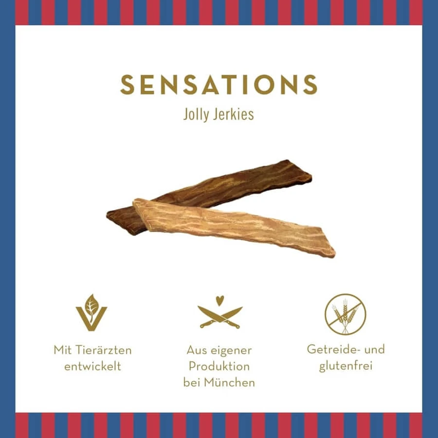 Terra Canis Sensations Jolly Jerkies Huhn – Snacks für Hunde mit Nahrungsmittelunverträglichkeiten, 90 g