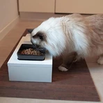 Ferplast Maki 01 - Verhoogde houten voerbakhouder met 2 keramische voerbakken voor honden en katten