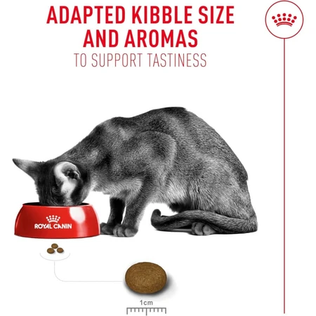Royal Canin Fussy Exigent - Compleet voer voor volwassen katten met een zeer kieskeurige eetlust, 2 kg