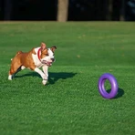 Ferplast Puller Maxi - Fitness Equipment for Large Dogs