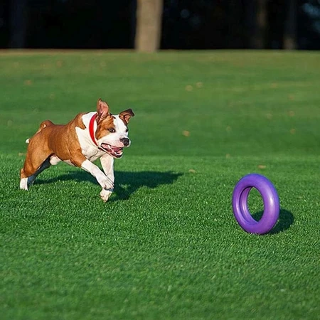 Ferplast Puller Maxi - Fitness Equipment for Large Dogs