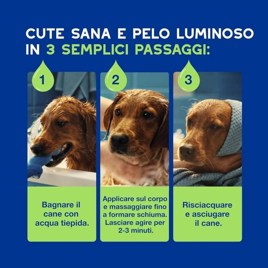 Ceva Animal Health Douxo, S.p.A. - Milde shampoo voor puppy's met een gevoelige huid, 250 ml