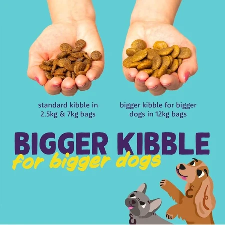Edgard & Cooper dla dorosłych psów – indyk i kurczak – kompletna karma dla dorosłych psów, 2,5 kg: ceny i cechy