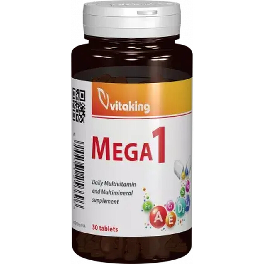 Multivitamin mit Mineralien und Folsäure mega1 30 cpr, Vitaking