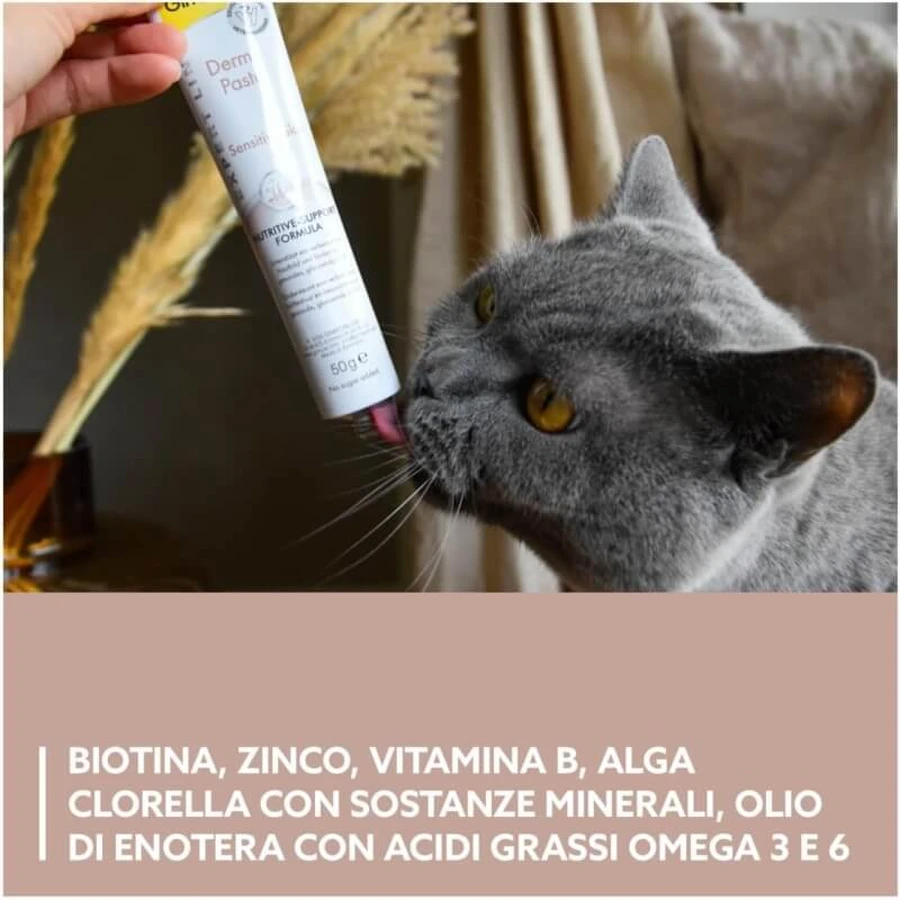 Gimborn Gimcat Derma Paste Formuła odżywcza – pasta uzupełniająca do pielęgnacji skóry i sierści kotów, 50 g: ceny i cechy