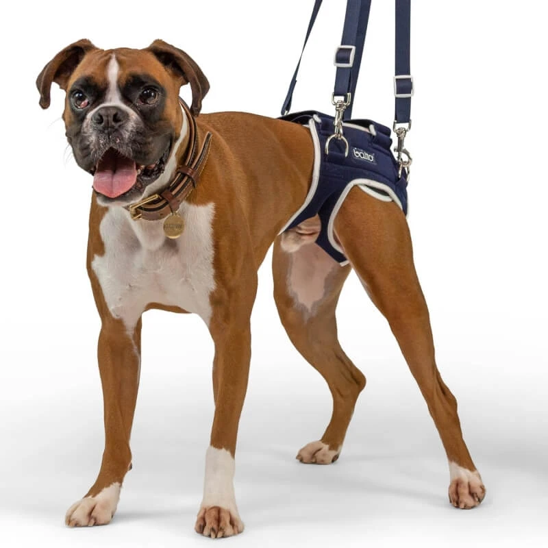 Balto Life - Beugel voor heupdysplasie, maat S