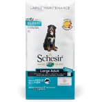 Schesir Large Maintenance Large Adult met vissmaak – Compleet voer voor grote volwassen honden, 12 kg