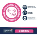 Advance Veterinary Diets Urinary Chicken - Alimento dietético completo para gatos adultos con problemas urinarios, 8 kg