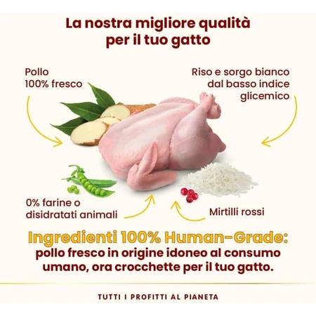Almo Nature HFC Our Best Chicken - Alimento completo para gatos adultos castrados, 300 g