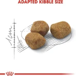 Royal Canin Indoor 7+ : aliment complet pour chats âgés, 1,5 kg