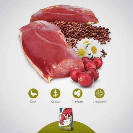 Farmina N&amp;d Urinary Quinoa mit Ente, Heidelbeere und Kamille – Alleinfuttermittel für ausgewachsene Katzen, 5 kg