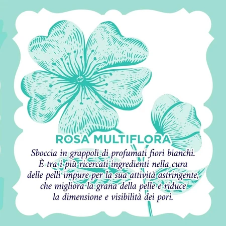Agua de rosas purificante - Agua micelar para pieles con tendencia a las imperfecciones, 200 ml
