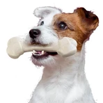 Ferplast Goodbite Natural - Hueso masticable para la higiene dental, sabor a jamón, XXL, 420 g