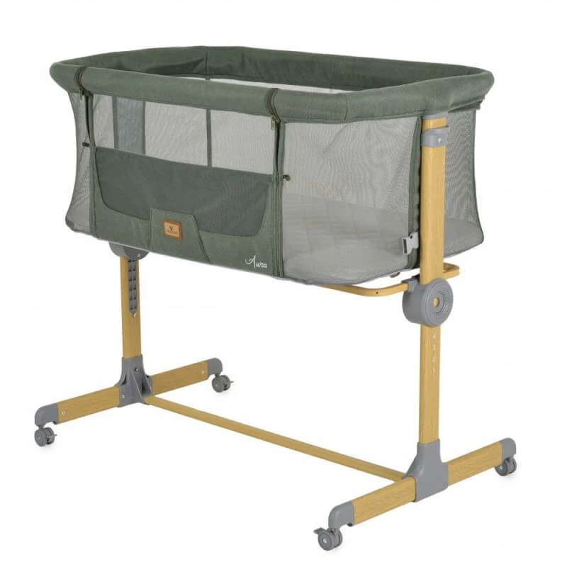 Cangaroo Aura Next2Me verstelbaar anti-reflux-babybedje, 0–9 kg, groen