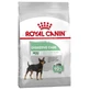 Royal Canin Digestive Care Mini - Volledig voer voor kleine volwassen honden met een gevoelige spijsvertering, 3 kg