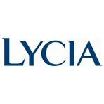 Lycia Comfort - 10 compresas nocturnas con alas