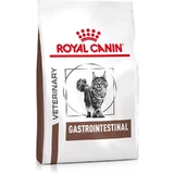 Royal Canin Veterinary Gastrointestinal - Alimento completo para gatos con trastornos digestivos, 4 kg
