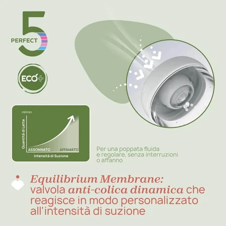 Chicco Perfect 5 Eco+ - Medium-Flow Bottle, 240 ml, Green