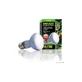 Exo Terra PT-2131 R20-50W Sun Glo – lampa punktowa do ogrzewania o szerokim spektrum światła dziennego z promieniowaniem UV-A