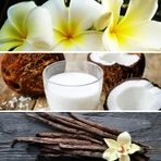Giardini di Toscana Borabora - Crème pour le corps 250 ml