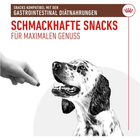 Golosinas Royal Canin: snacks para perros con problemas gastrointestinales, 230 g