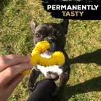Tasty Bone Nylon Trio-bot - Kauwspeeltje met kipsmaak voor honden