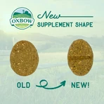Oxbow Natural Science Joint Support - Joint Supplement for Small Animals, 120 g