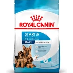 Royal Canin Maxi Starter Mother and Puppy - Compleet voer voor drachtige en zogende teven en puppy’s, 15 kg