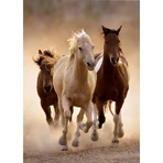 Rompecabezas de 1.000 piezas «Running Horses» de Clementoni para adultos