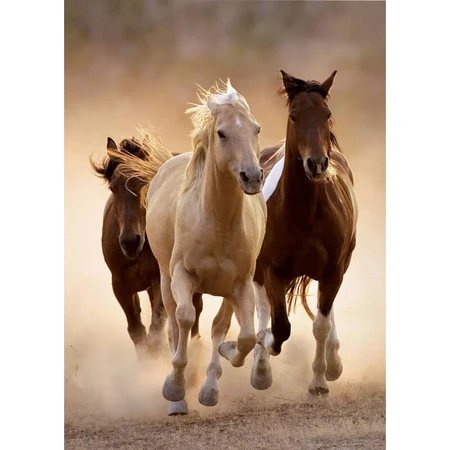 Rompecabezas de 1.000 piezas «Running Horses» de Clementoni para adultos